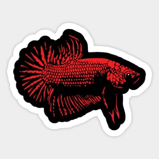 Betta - RED Sticker